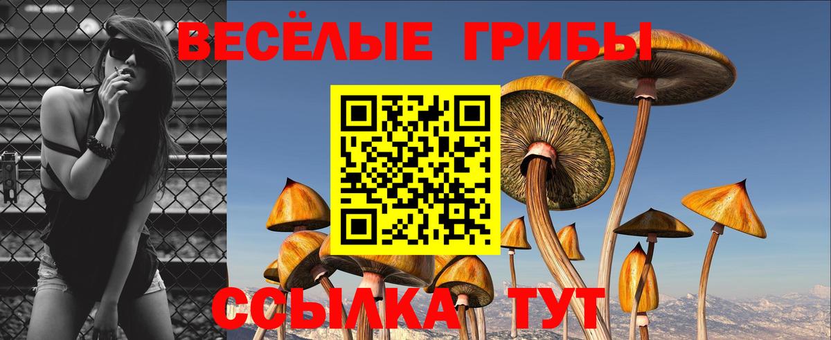 Галлюциногенные грибы мицелий  Вход с VPN  Сосновоборск 