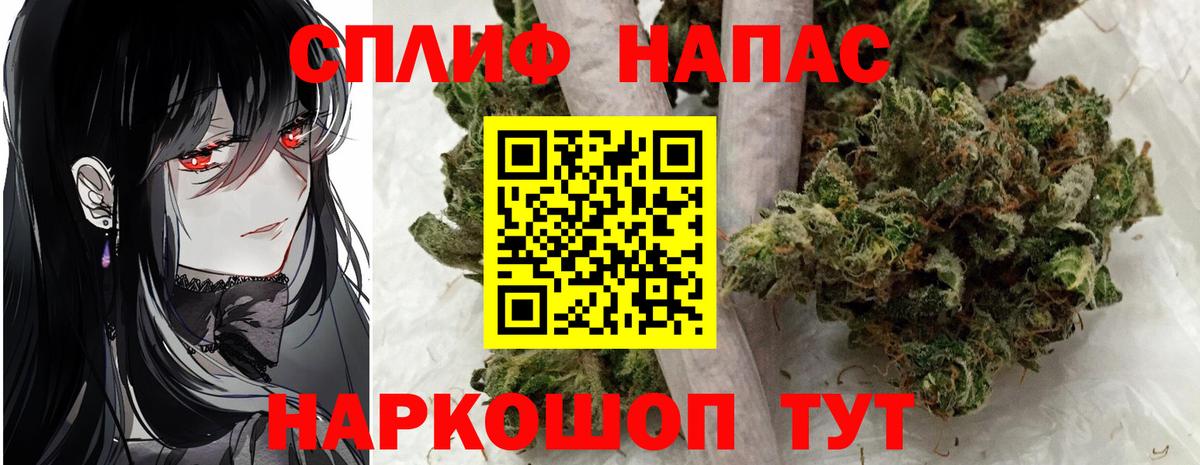 Конопля план Сосновоборск